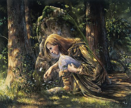 Elven Cloak